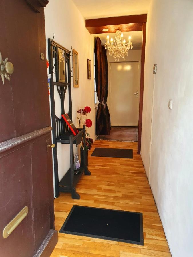 דירות מונשאו Residenz 4 Jahreszeiten מראה חיצוני תמונה